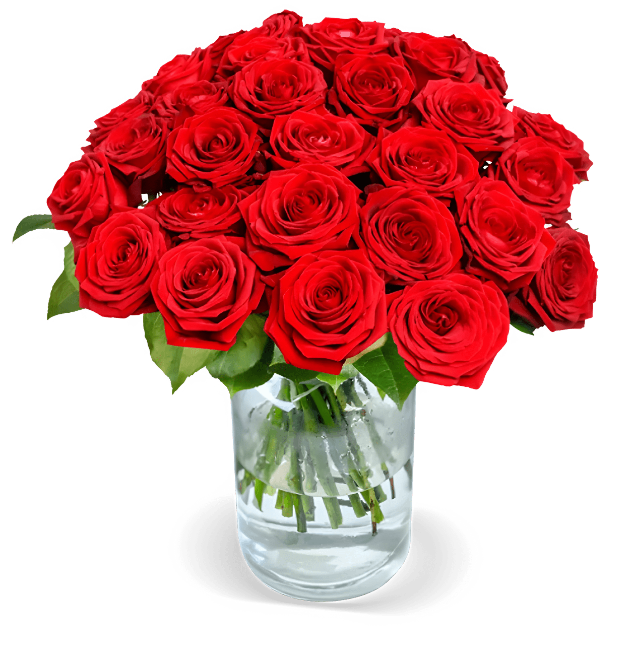 15 Red Naomi Rosen - Blume Ideal