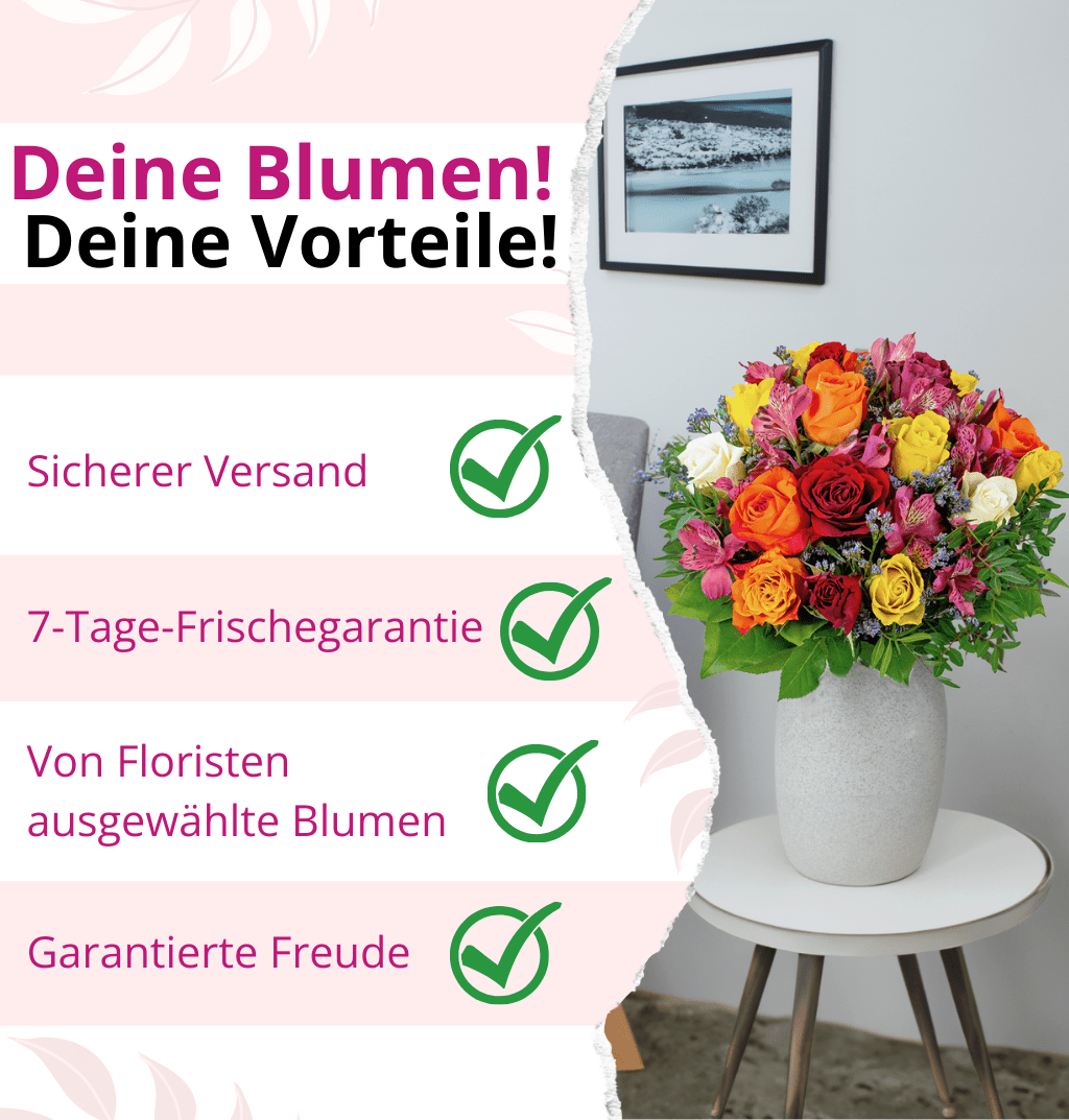 40 Rosen - "Candy Cotton" - Blume Ideal
