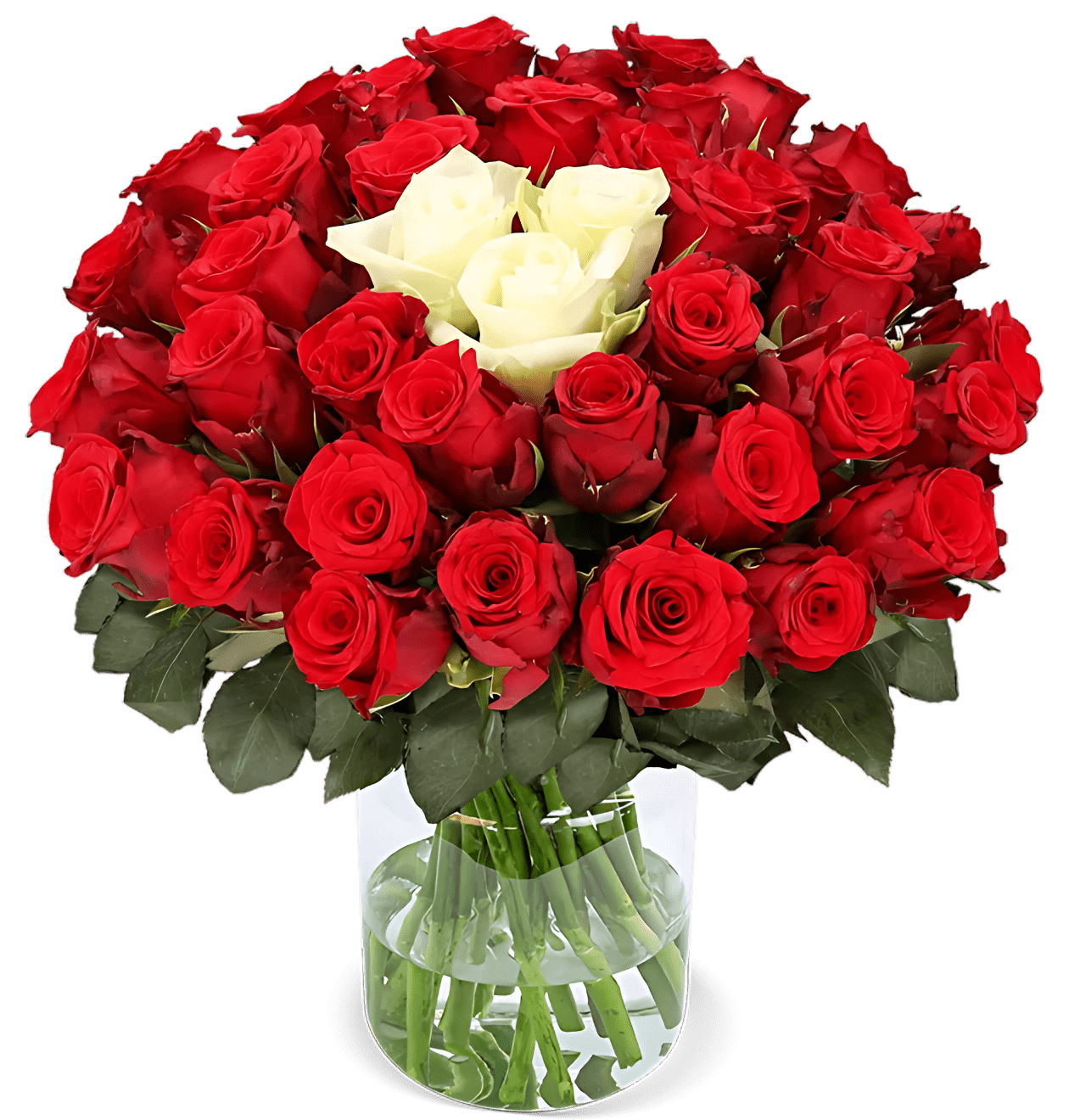 50 Rosen - Blume Ideal