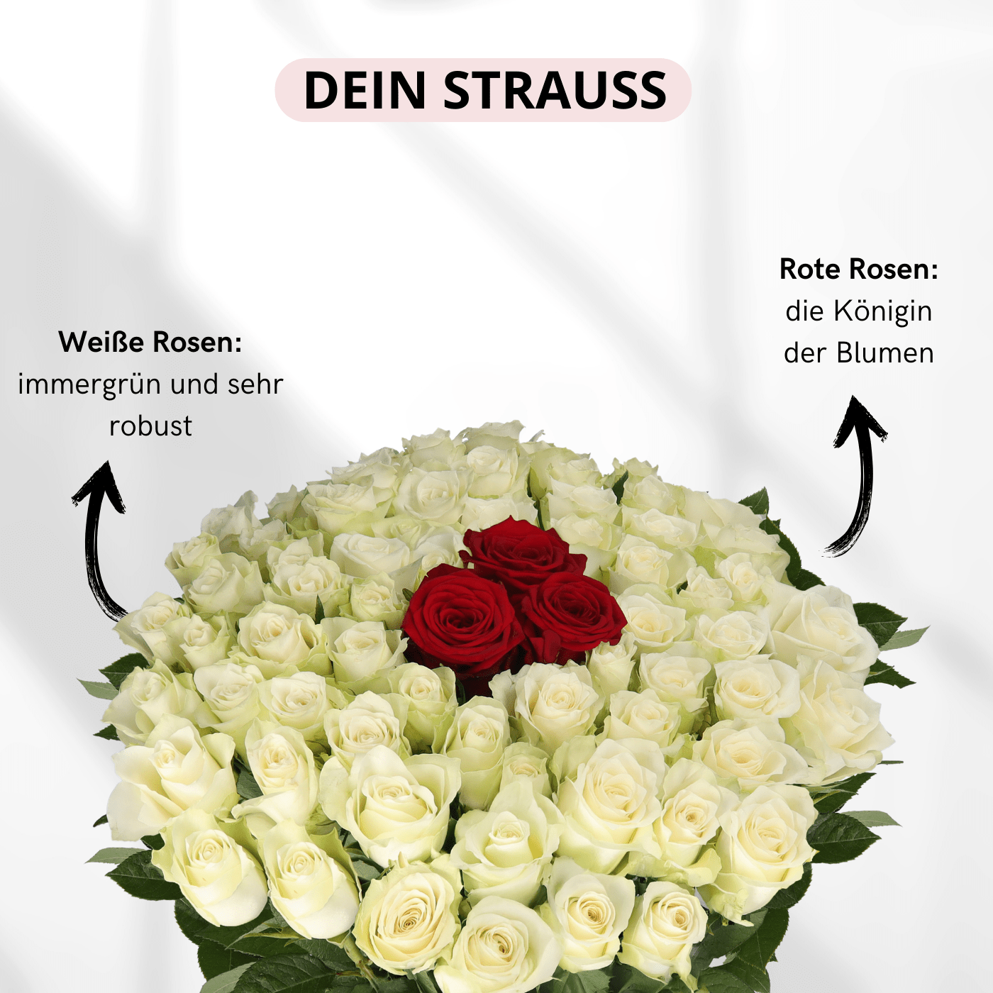50 Rosen - "Nordlicht" - Blume Ideal