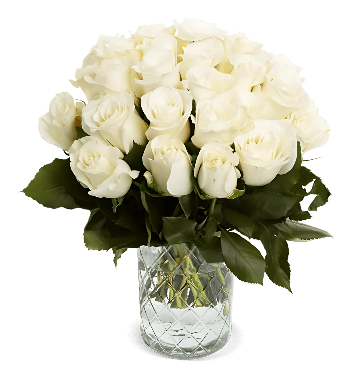 50 weiße Rosen - Blume Ideal