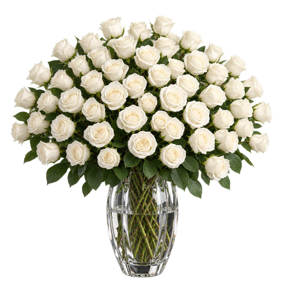 50 witte rozen