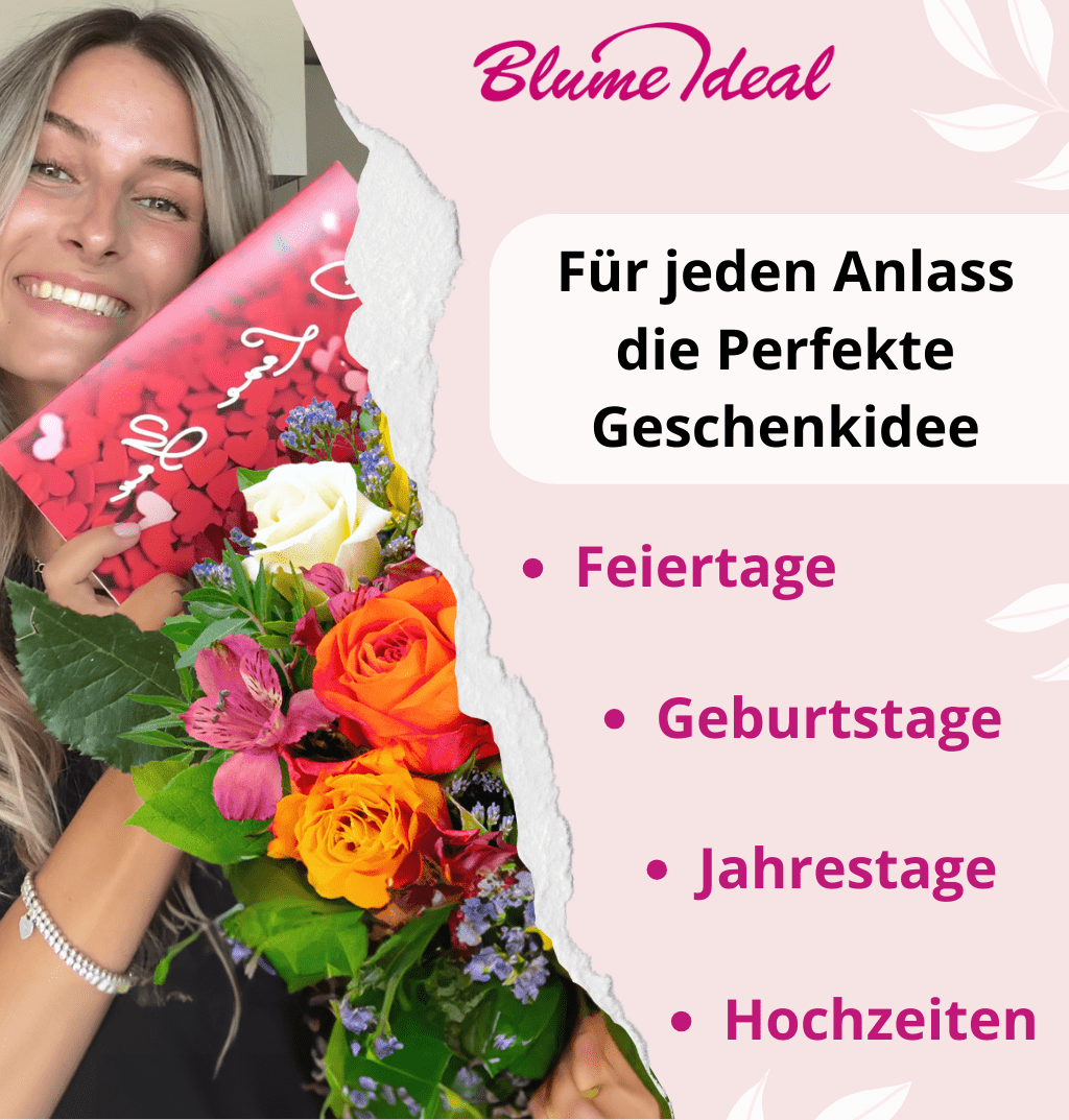 60 Rosen - “Nordlicht” - Blume Ideal