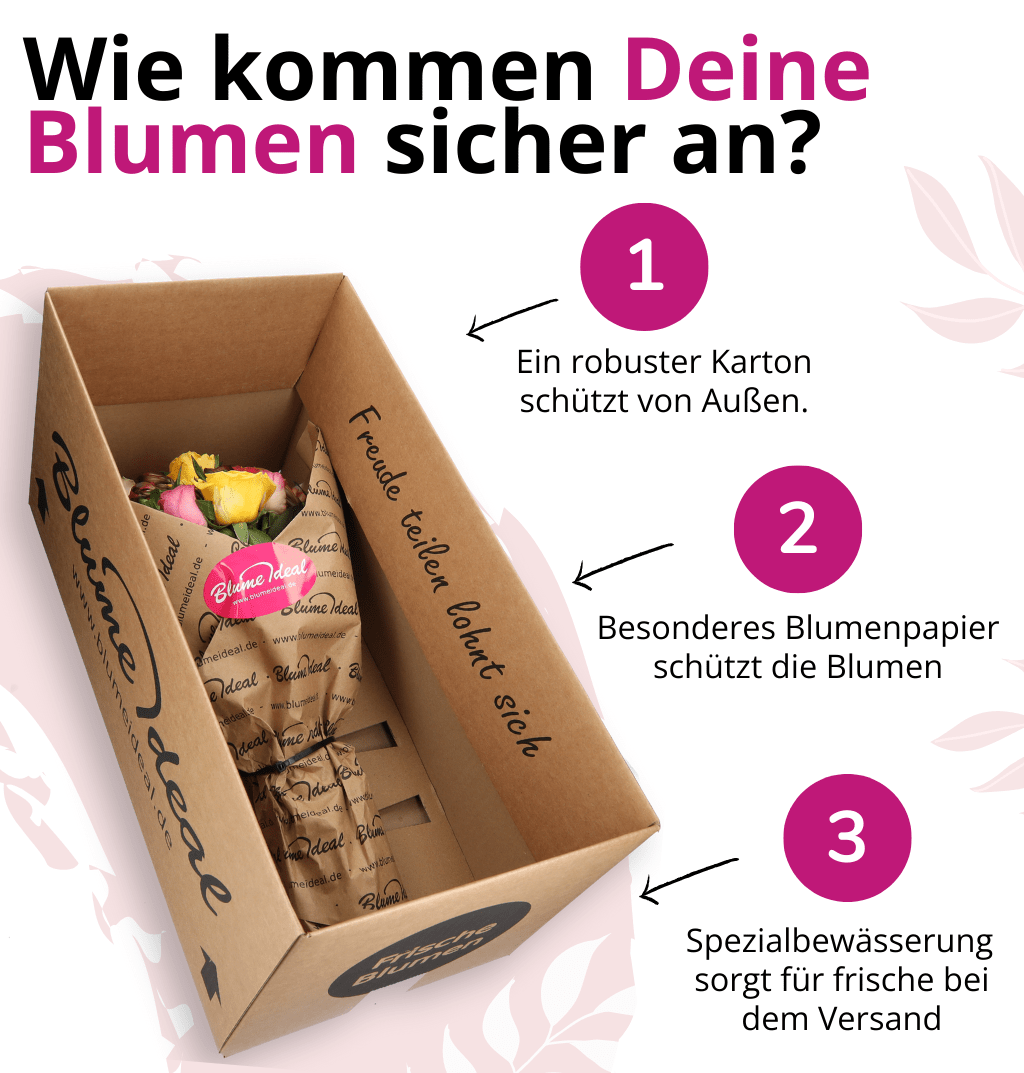 60 Rosen - “Rosenbeet” - Blume Ideal