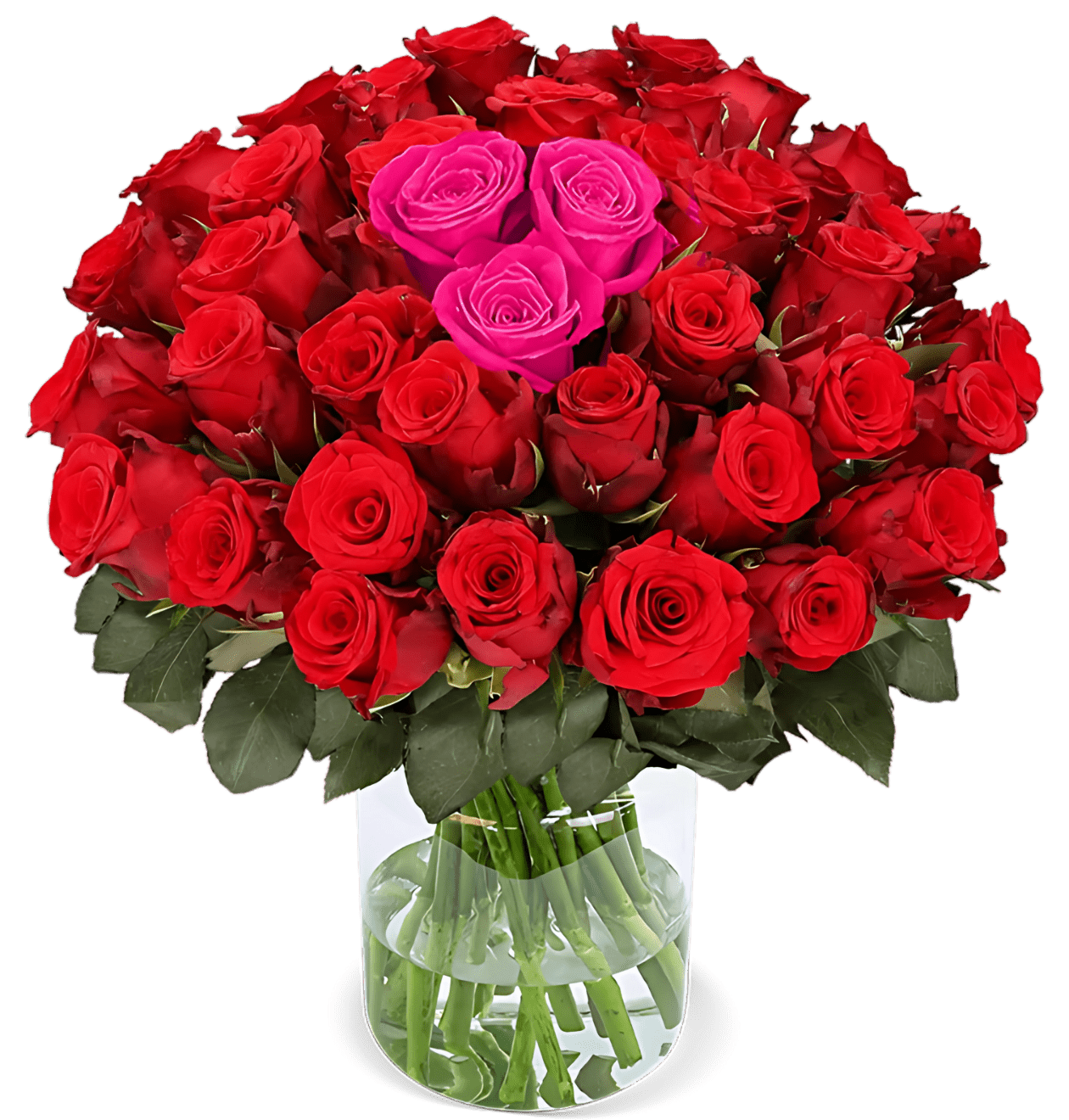 70 Rosen - "Heartbeat" - Blume Ideal