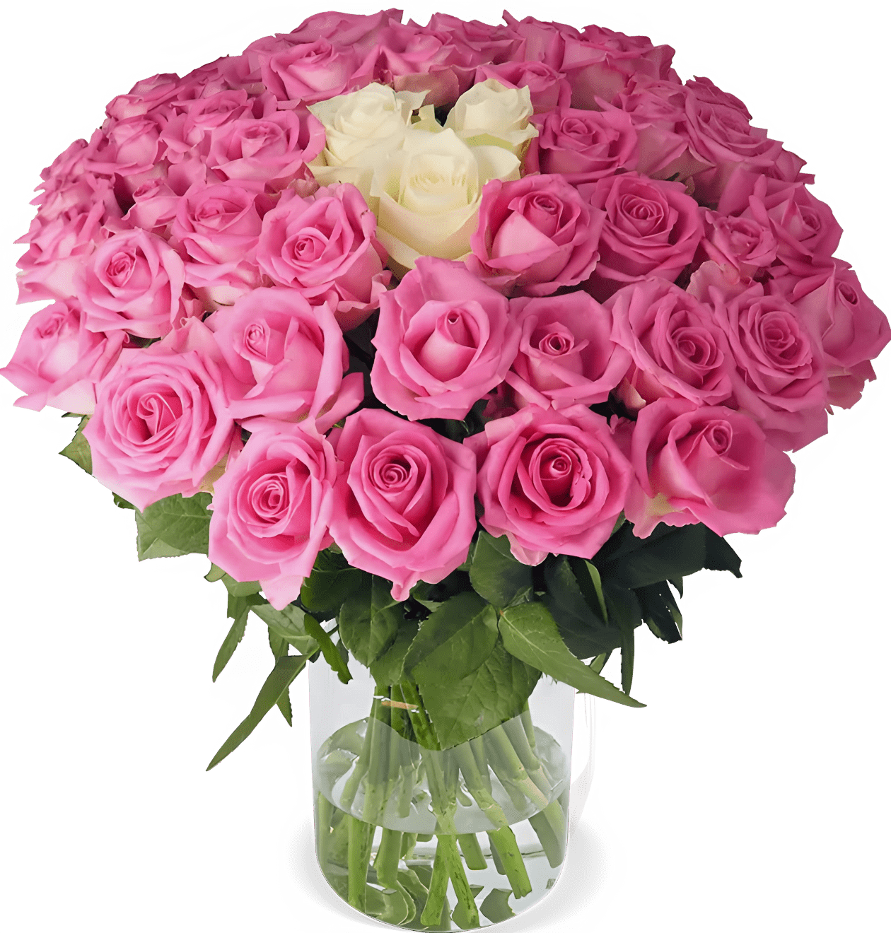 70 Rosen - "Pink Special" - Blume Ideal