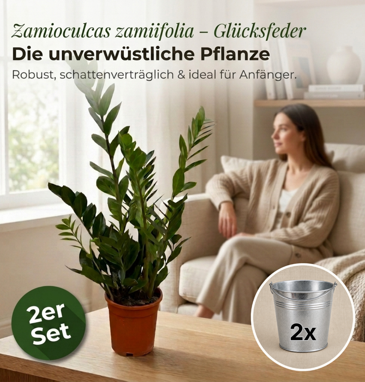 Glücksfeder + 2x Zinktopf | 2er-Set | Zamioculcas zamiifolia | ca. 40-50 cm | Ø 12-15 cm Topf