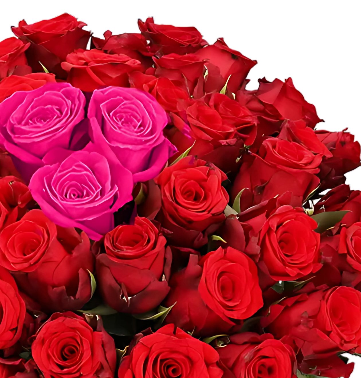 70 Rosen - "Heartbeat"