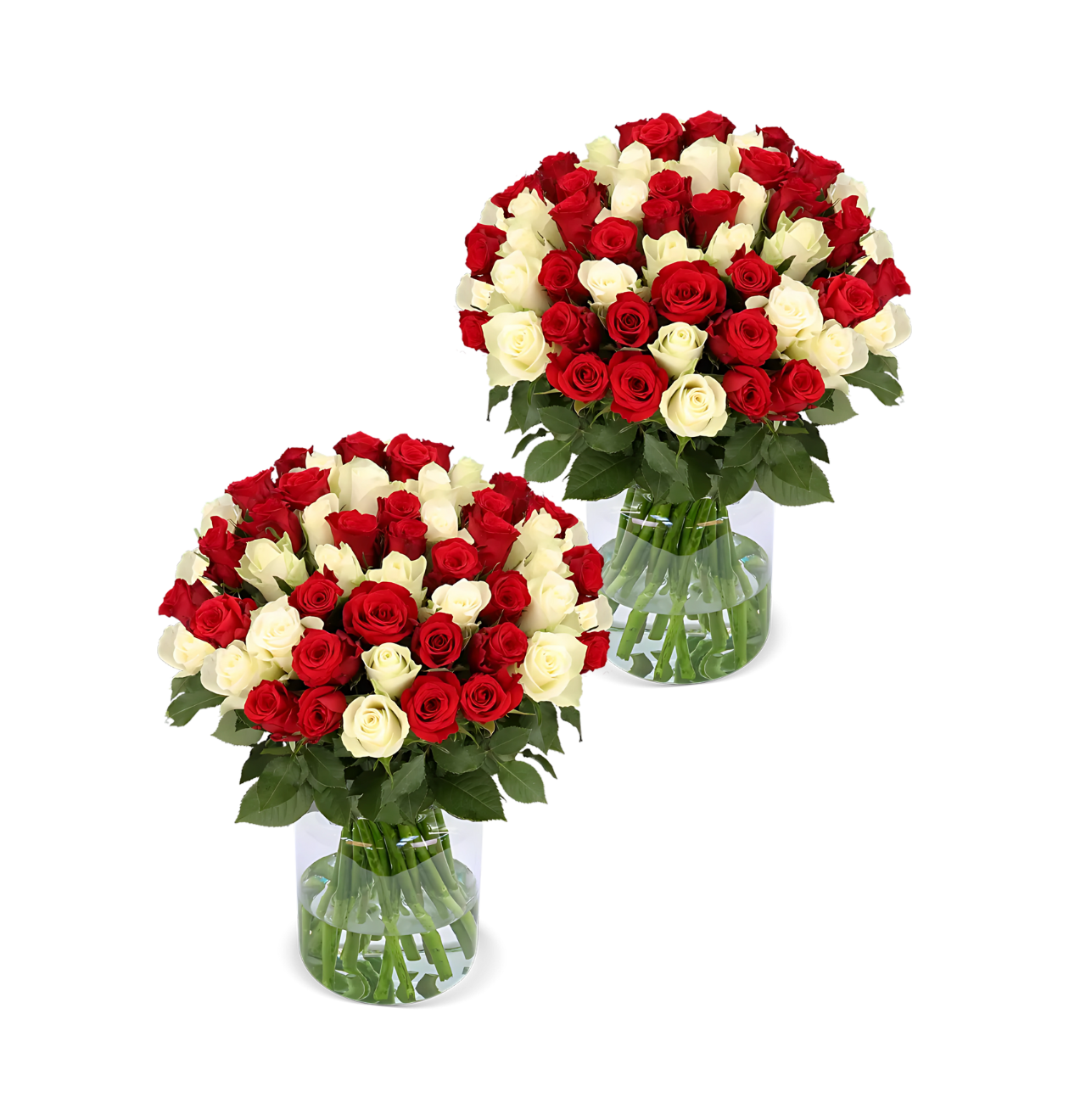 80 rot weiße Rosen (2x40 Stück)
