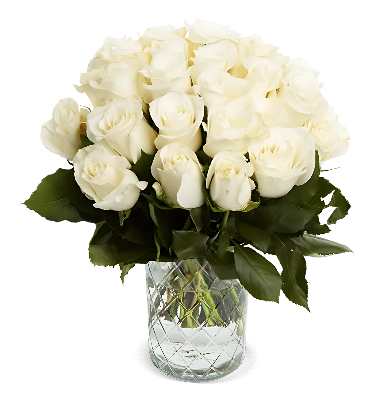 70 weiße Rosen