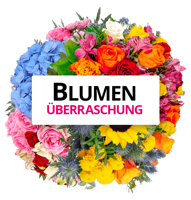 Blumenüberraschung - Blume Ideal