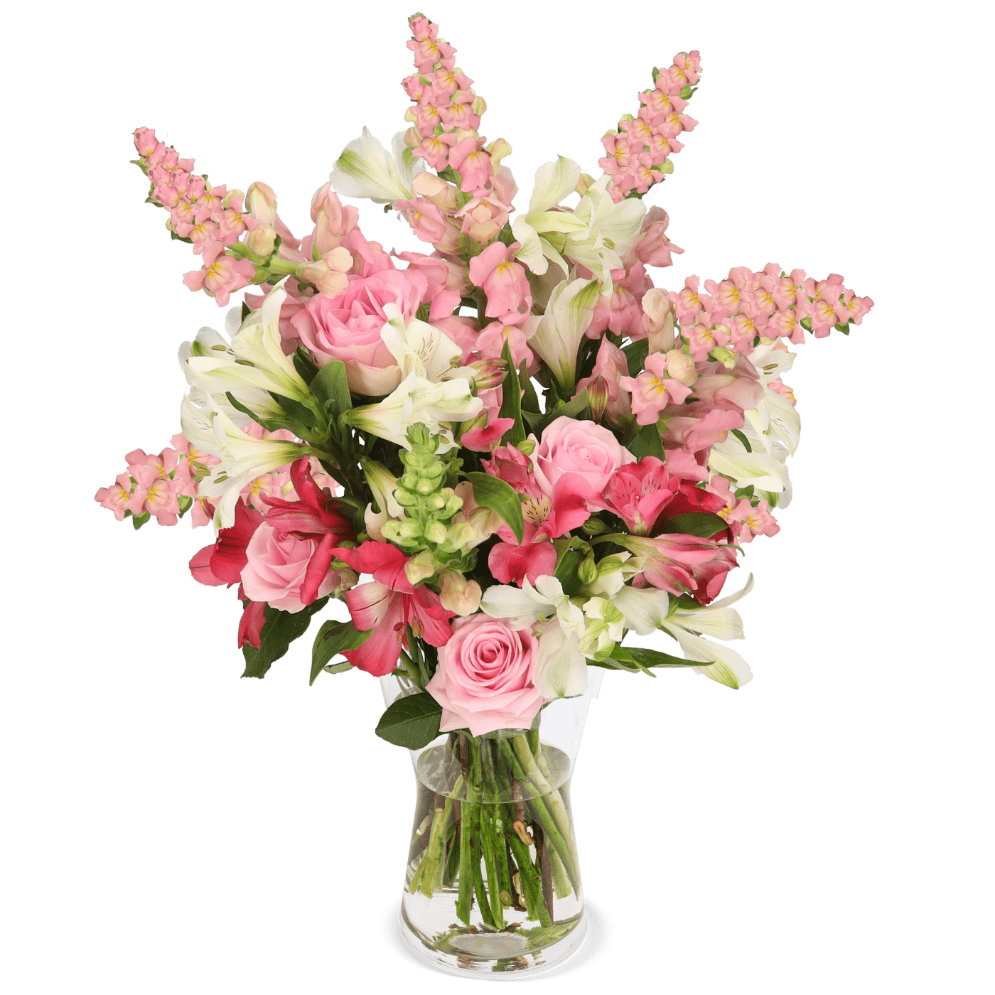 Blütenmeer - Blume Ideal