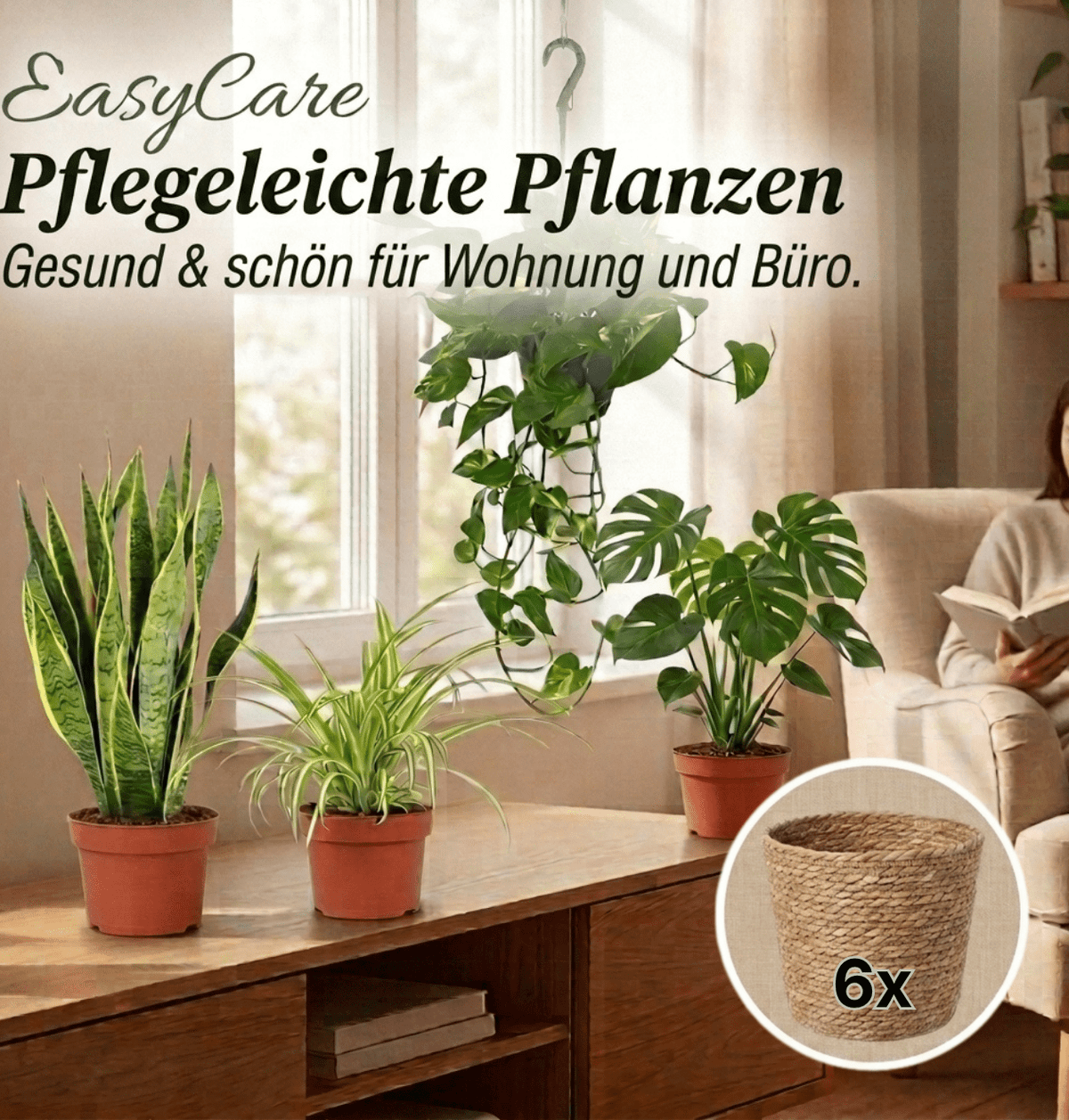 “EasyCare” Pflanzenset + 6x Seegraskorb | 6er-Set | ca. 30-60 cm | Ø 12-15 cm Topf - Blume Ideal