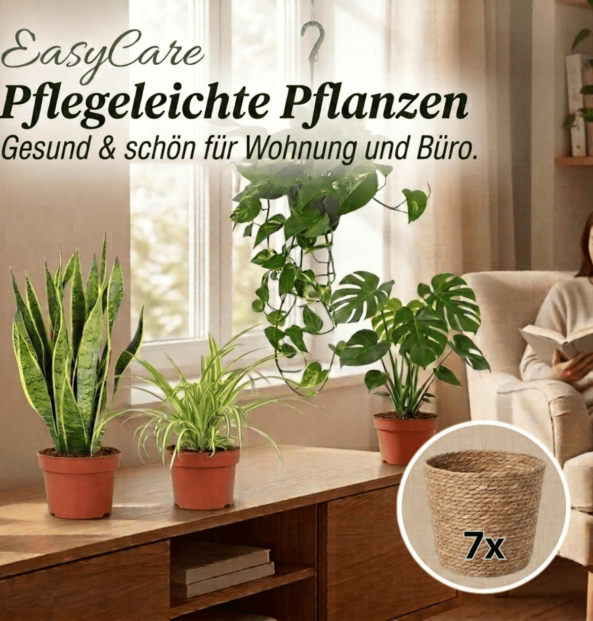 “EasyCare” Pflanzenset + 7x Seegraskorb | 7er-Set | ca. 30-60 cm | Ø 12-15 cm Topf - Blume Ideal