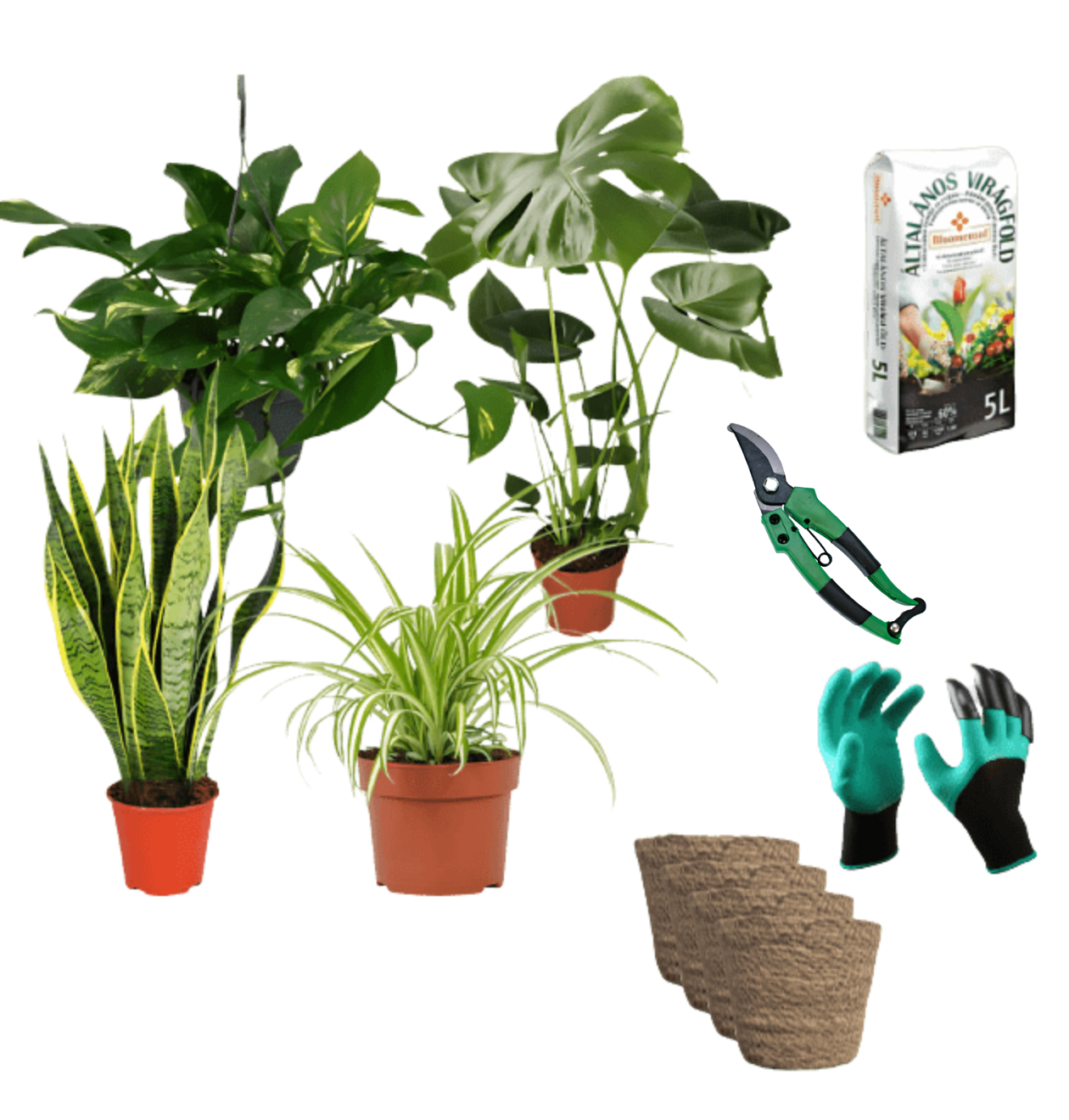"EasyCare" Starter Set | 4er - Set + Zubehör | ca. 30 - 60 cm | Ø 12 - 15 cm Topf - Blume Ideal