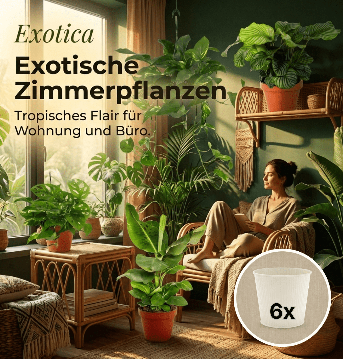 “Exotica” Pflanzenset + 6x Cremefarbener Zinktopf | 6er-Set | ca. 25-50 cm | Ø 12-15 cm Topf - Blume Ideal