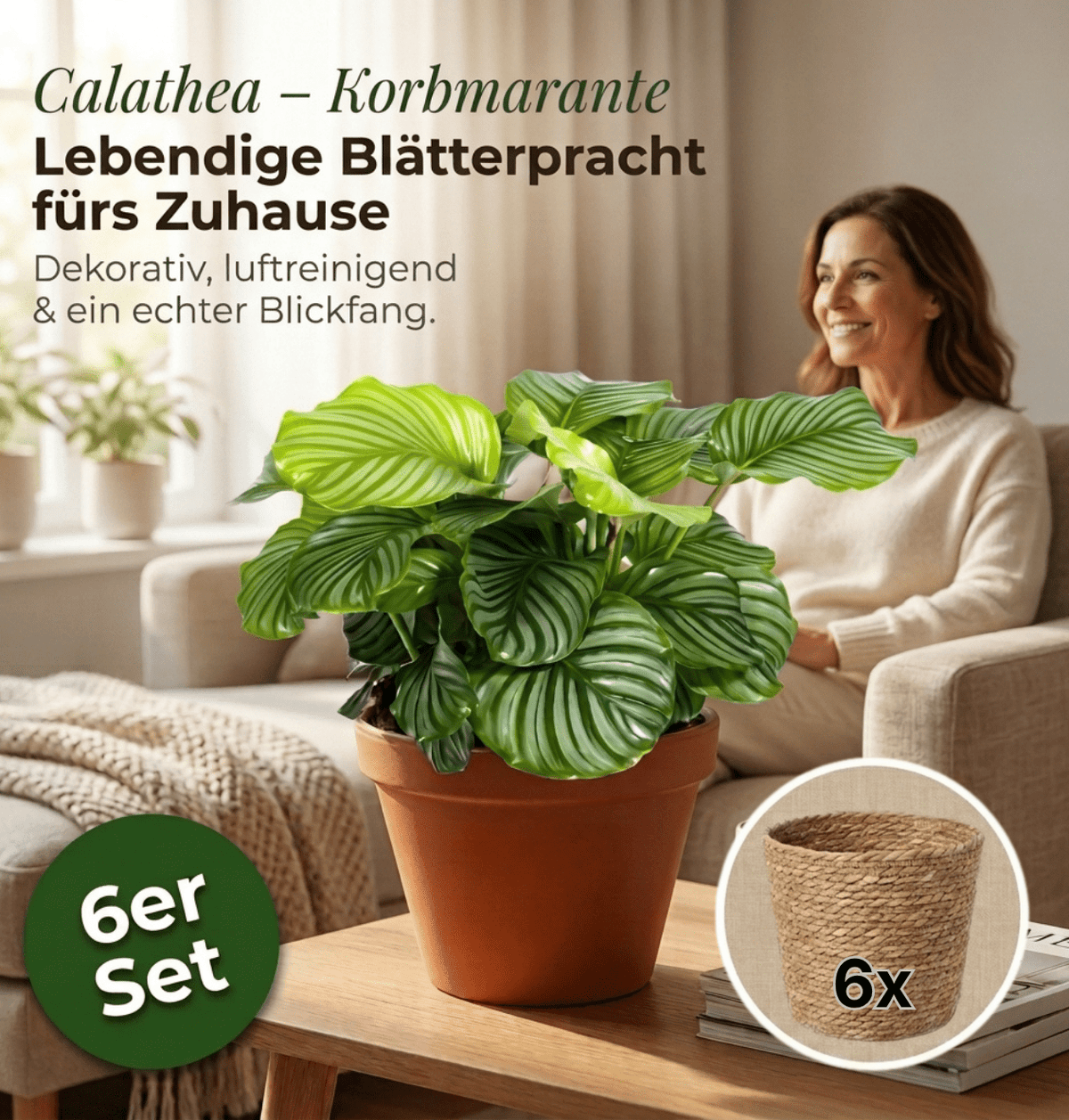 Korbmarante + 6x Seegraskorb | 6er-Set | Calathea | ca. 40-50 cm | Ø 12-15 cm Topf - Blume Ideal
