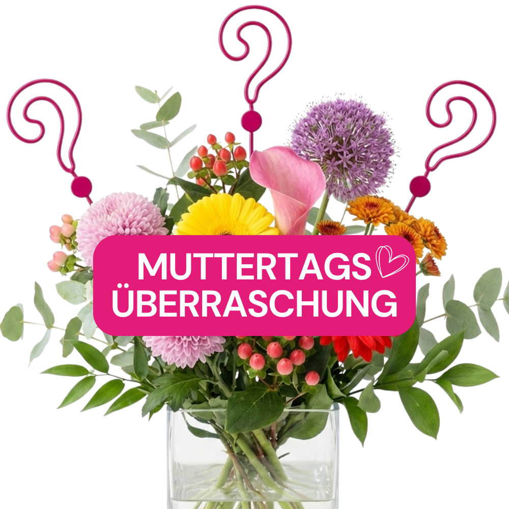 Muttertags - Überraschung - Blume Ideal