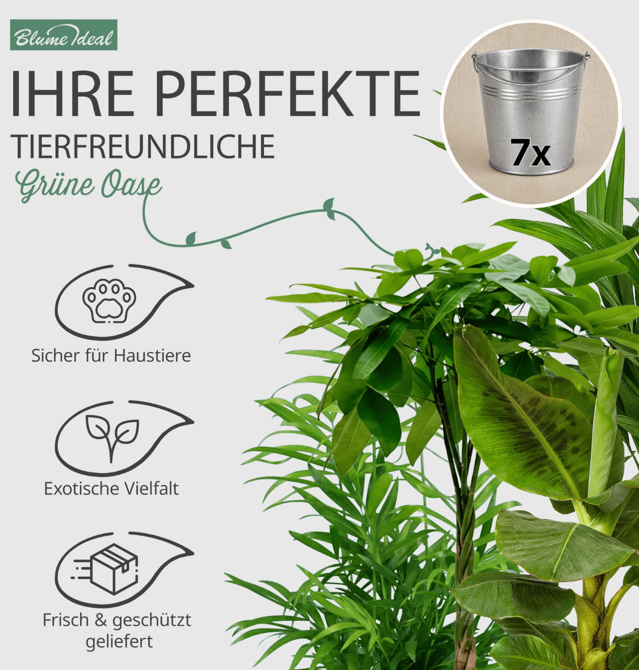 “Tierfreund” Pflanzen - Set + Zinktopf | 7er - Set | ca. 30 - 60 cm | Ø 12 - 15 cm Topf - Blume Ideal