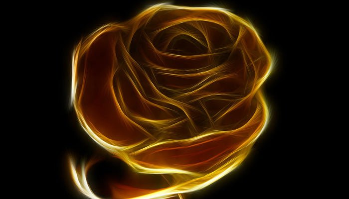 Rosen vergolden - So kannst du Rosen vergolden - Blume Ideal