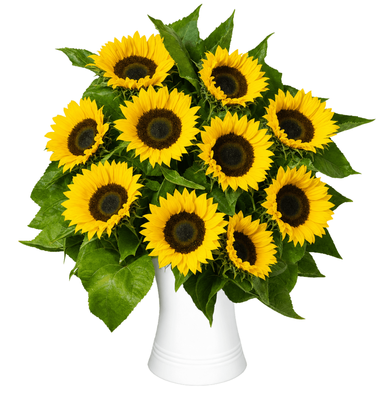 10 Sonnenblumen - Blume Ideal