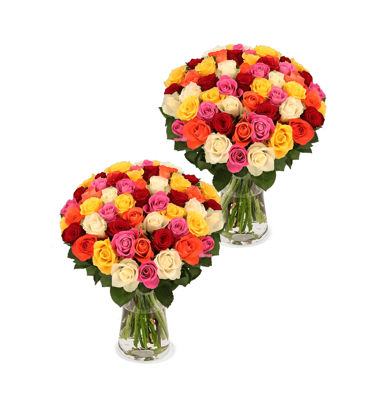 100 Bunte Rosen (2x50 Stück) - Blume Ideal