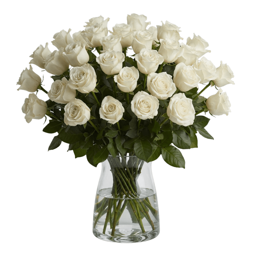 30 weiße Rosen - Blume Ideal