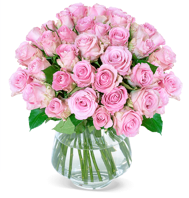33 pinke Rosen zum Muttertag - Blume Ideal