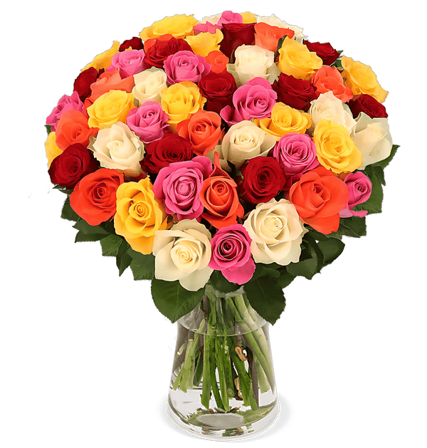 40 bonte rozen
