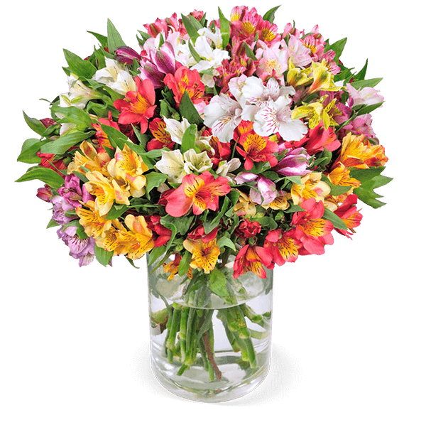 40 incalelies met tot 300 bloemen