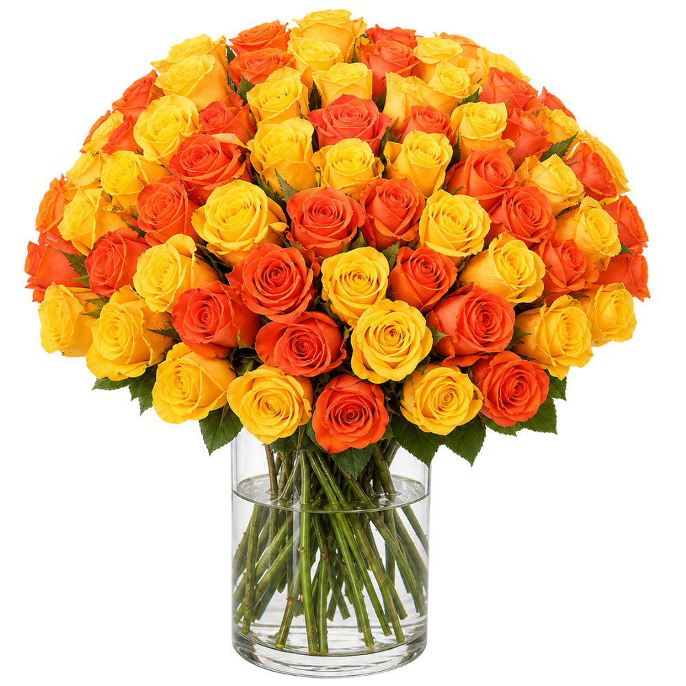 40 Rosen "Hello Sunshine" - Blume Ideal