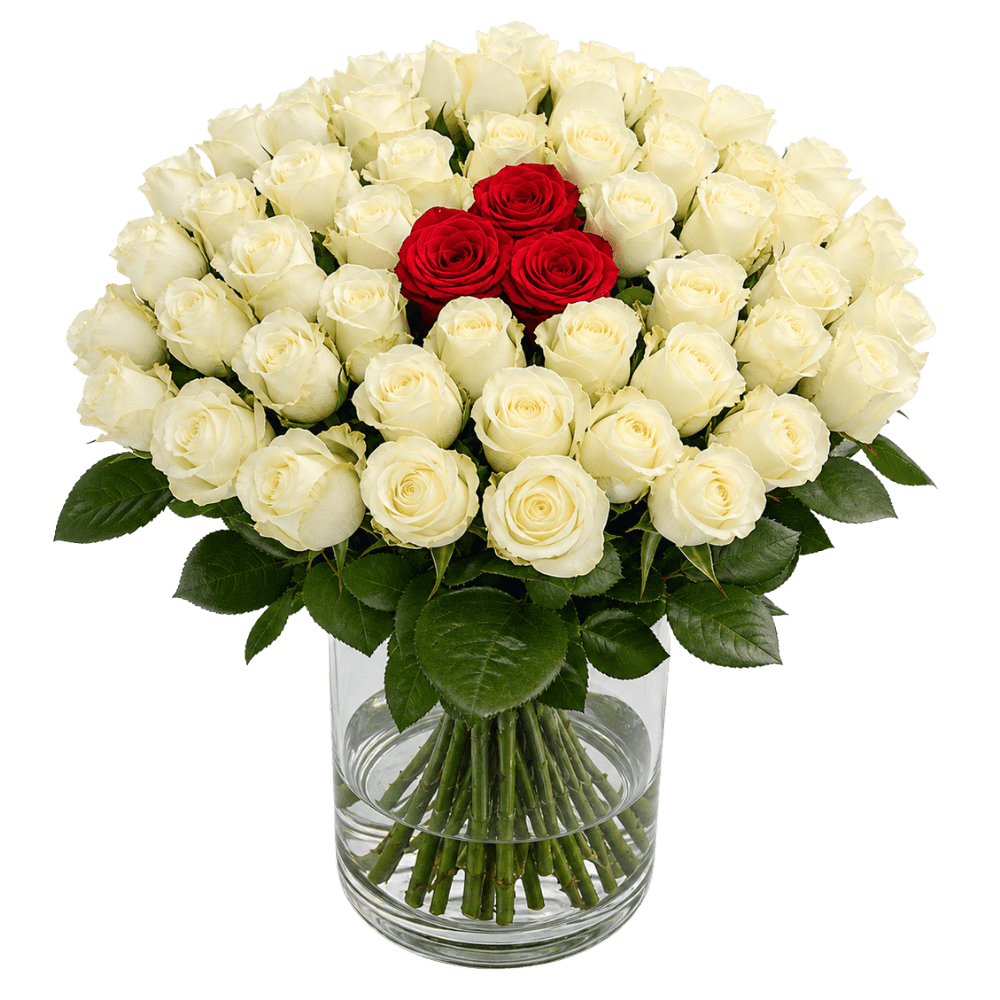 40 Rosen - “Nordlicht” - Blume Ideal