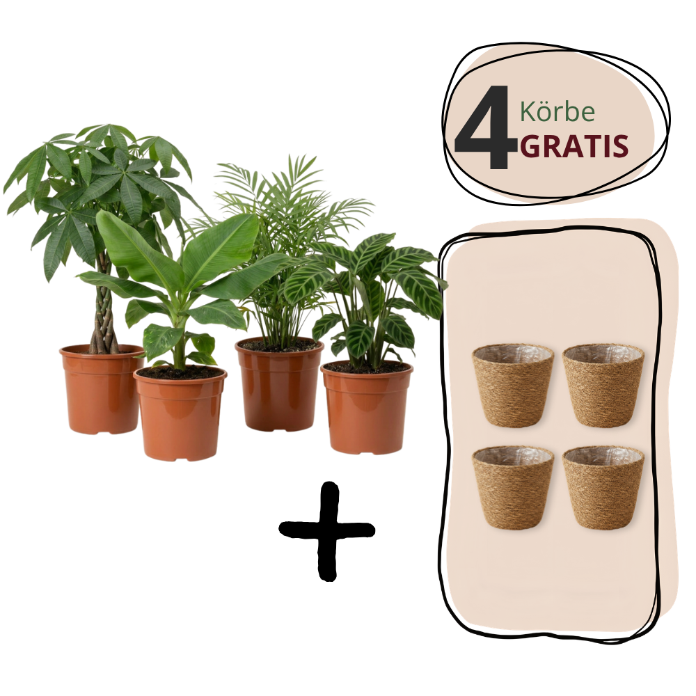 Tierfreundliche Pflanzensets Aktion