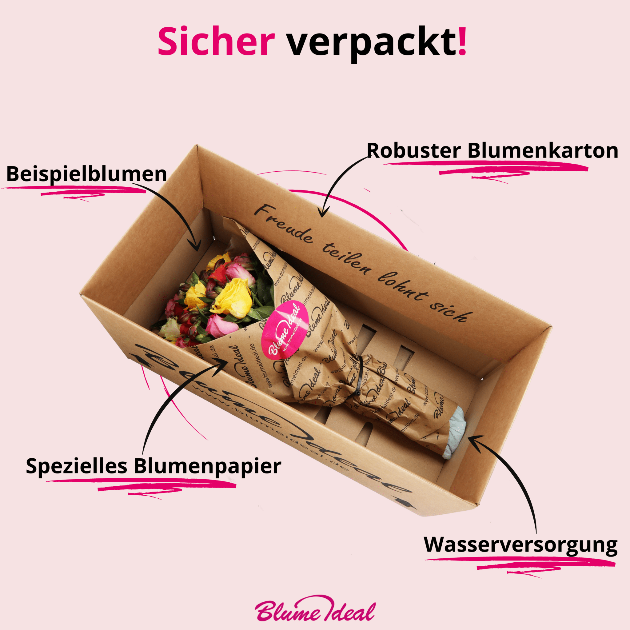 50 bunte Rosen - Blume Ideal