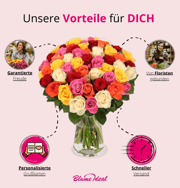 50 bunte Rosen - Blume Ideal