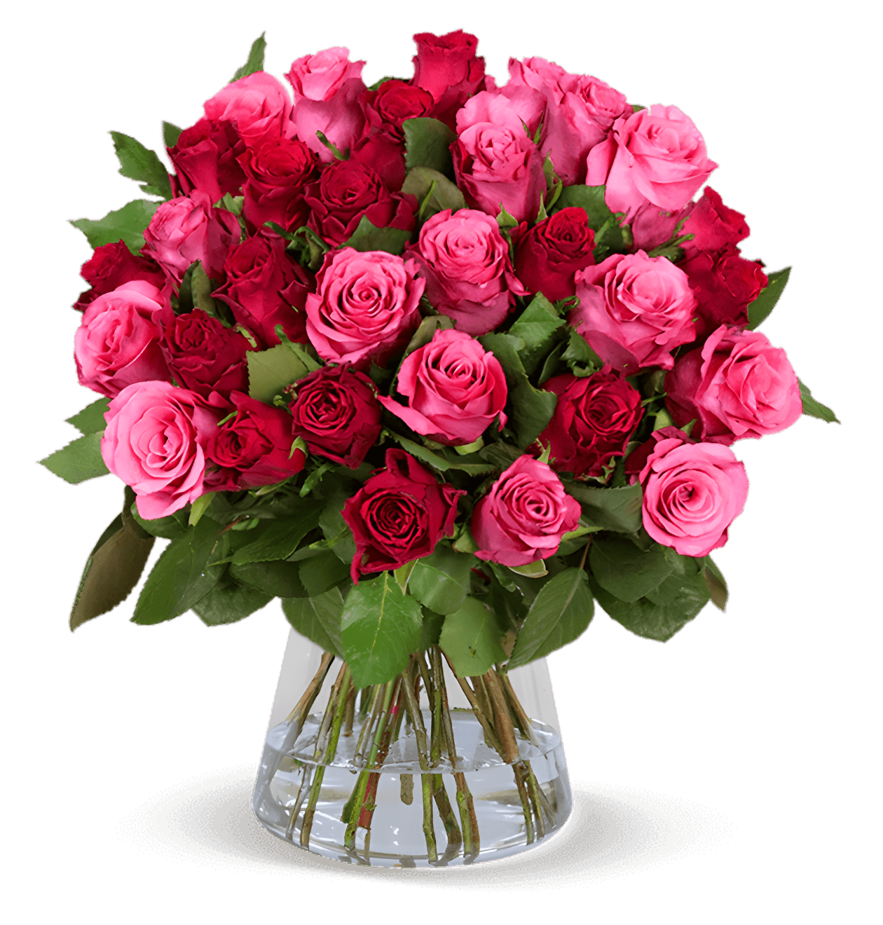 60 Rosen - "Romantic Roses" - Blume Ideal