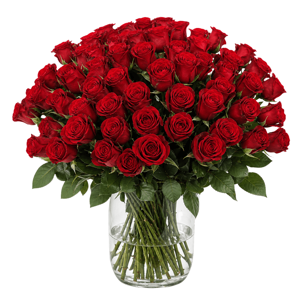 60 rote Rosen "Perfekter Liebesbeweis" - Blume Ideal