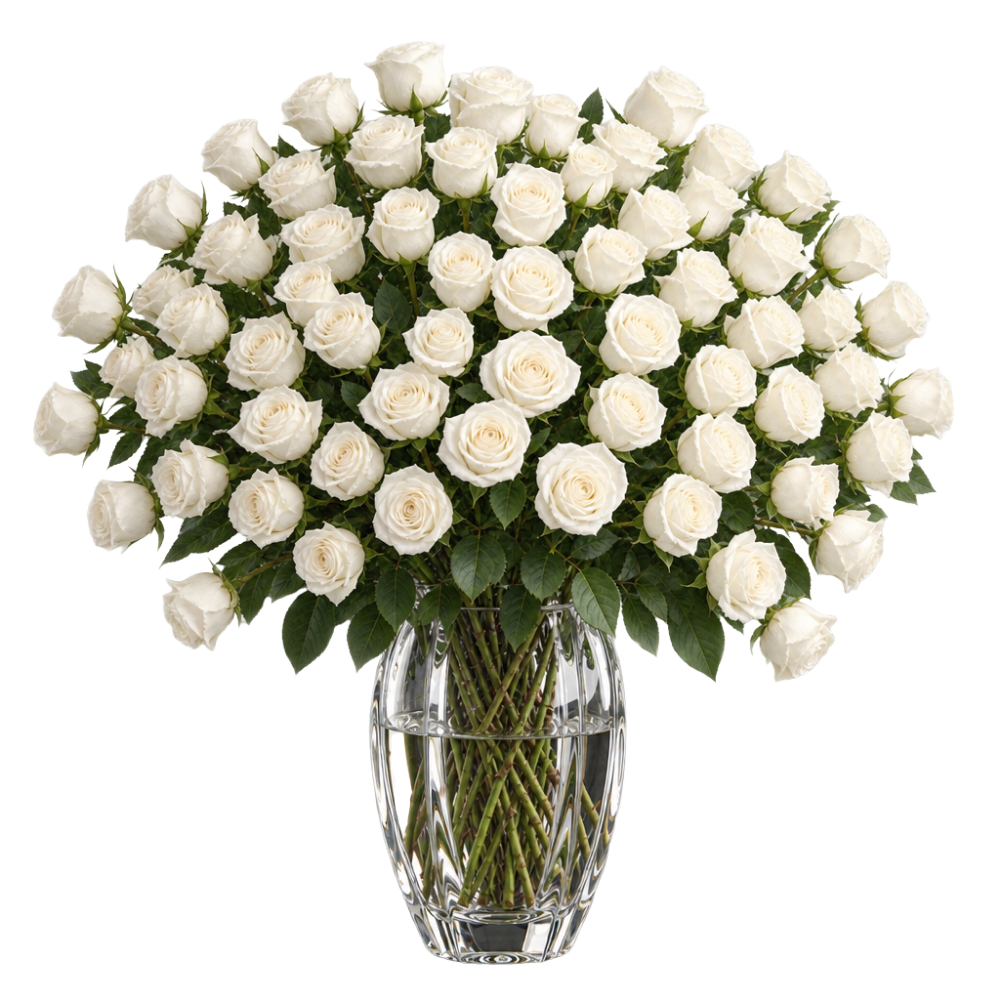 60 witte rozen