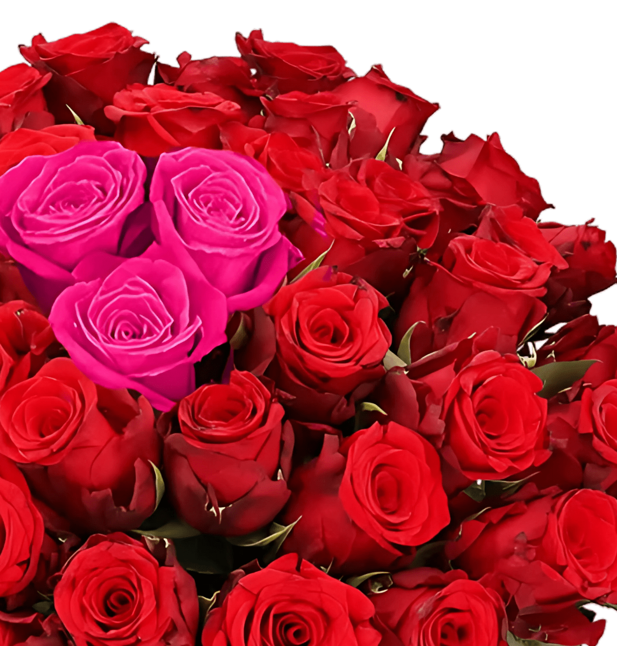 80 Rosen - "Heartbeat" (2x40 Stück) - Blume Ideal