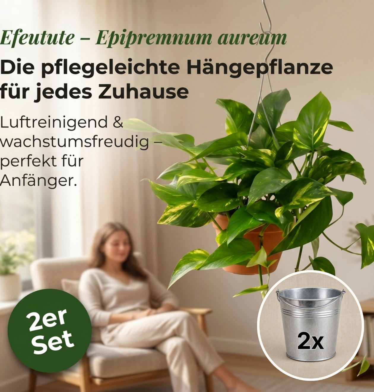 Efeutute (hängend) + Zinktopf | 2er-Set | Epipremnum aureum | ca. 30-35 cm | Ø 12-15 cm Topf