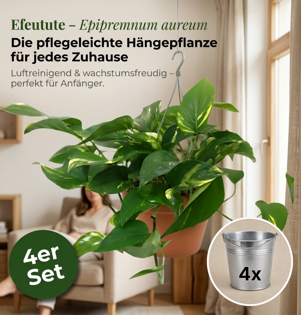 Efeutute (hängend) + Zinktopf | 4er-Set | Epipremnum aureum | ca. 30-35 cm | Ø 12-15 cm Topf
