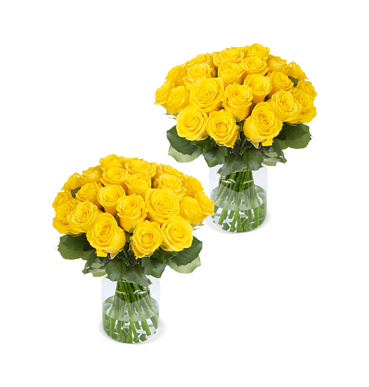 80 gele rozen (2x40 stuks)