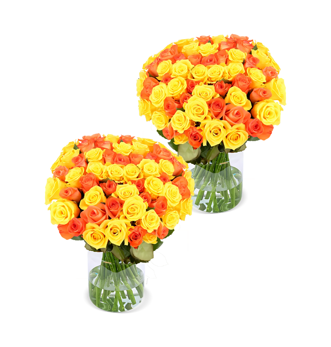 80 geeloranje rozen (2x40 stuks)