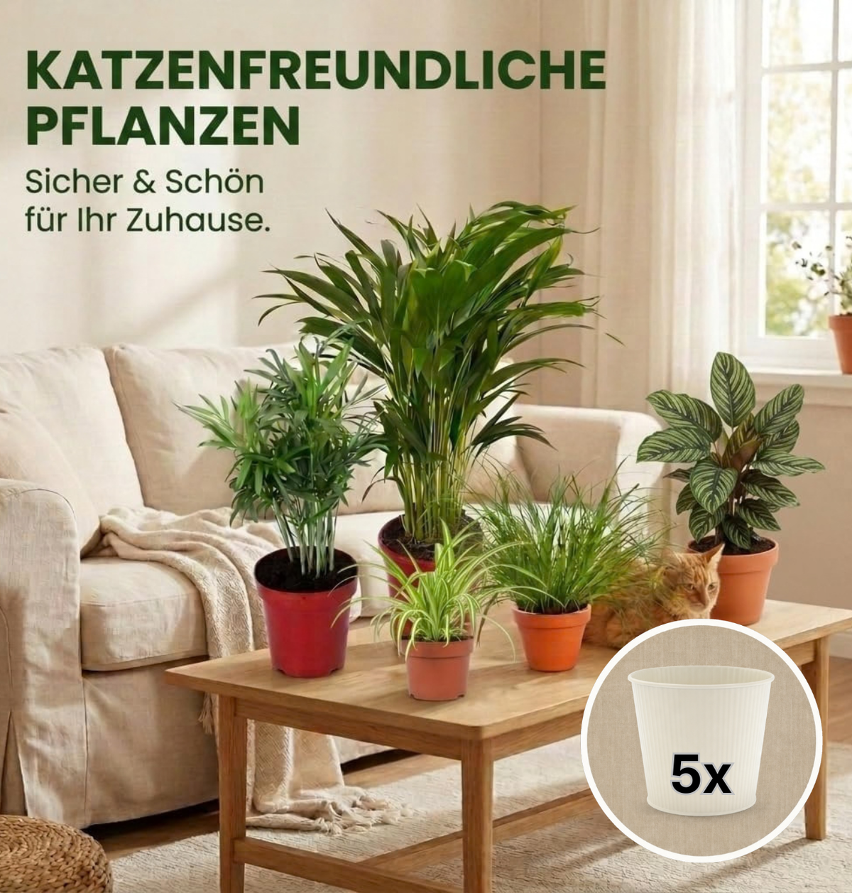“Katzenliebhaber” Pflanzenset + 5x Cremefarbener Zinktopf | 5er-Set | ca. 30-45 cm | Ø 12-15 cm Topf