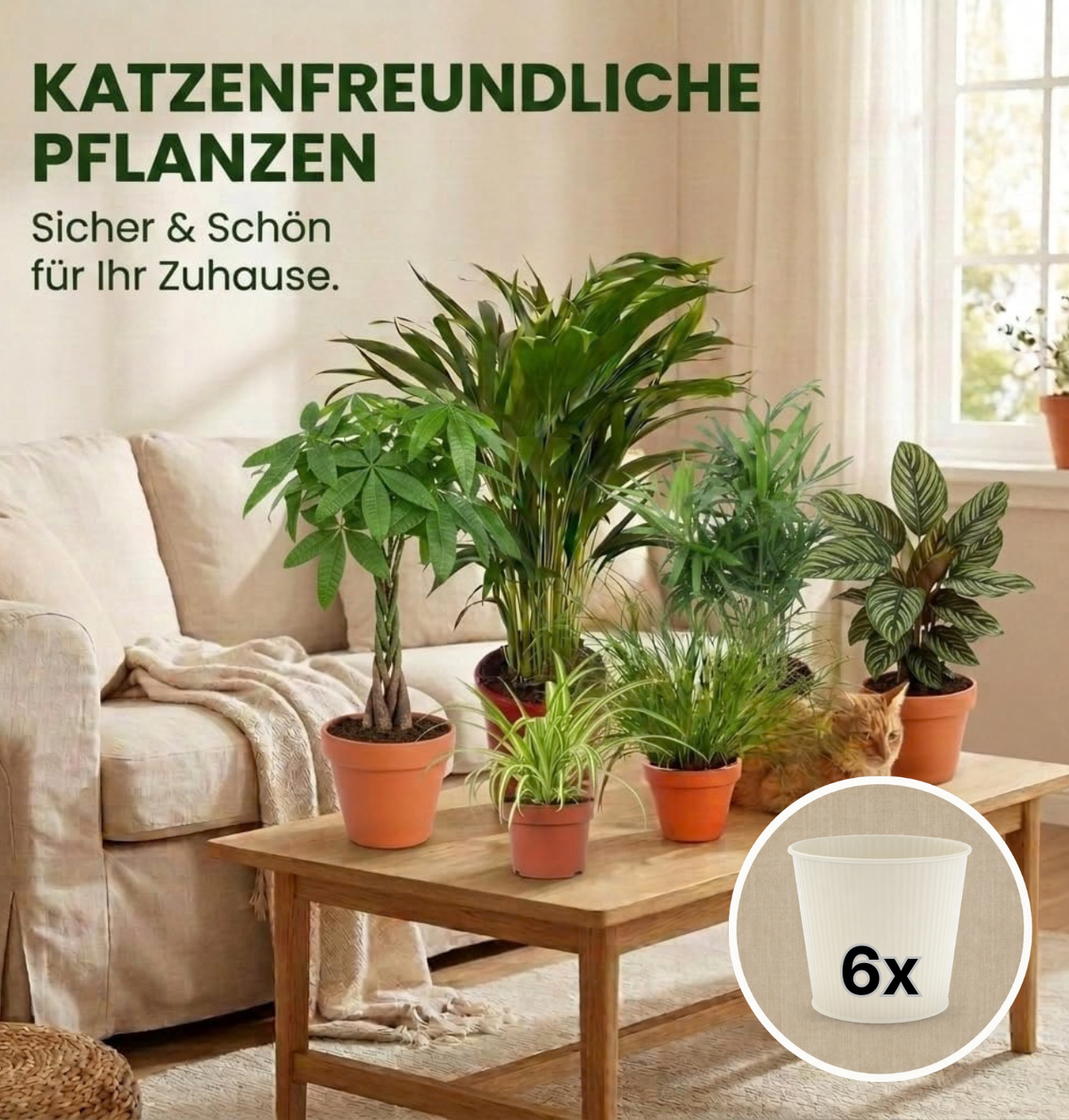 “Katzenliebhaber” Pflanzenset + 6x Cremefarbener Zinktopf | 6er-Set | ca. 30-45 cm | Ø 12-15 cm Topf