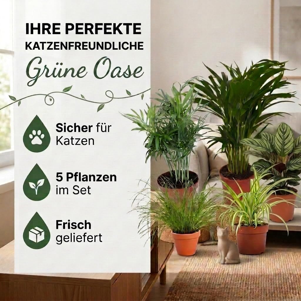 “Katzenliebhaber” Pflanzenset + 5x Cremefarbener Zinktopf | 5er-Set | ca. 30-45 cm | Ø 12-15 cm Topf