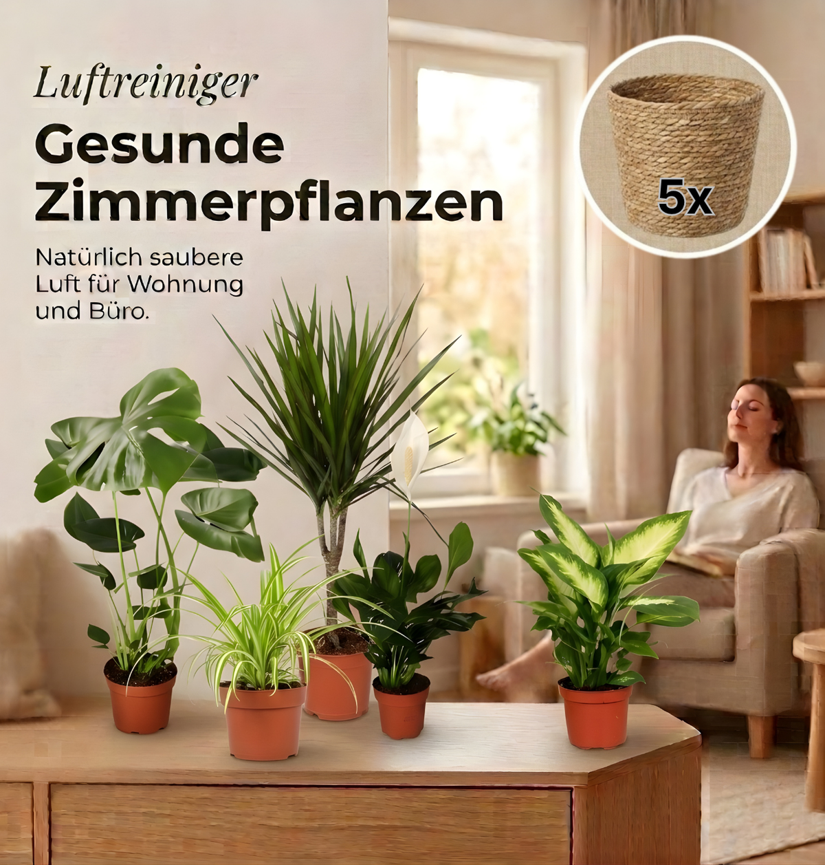 “Luftreiniger” Pflanzen-Set + 5x Seegraskorb | 5er-Set | ca. 40-70 cm | Ø 12-15 cm Topf