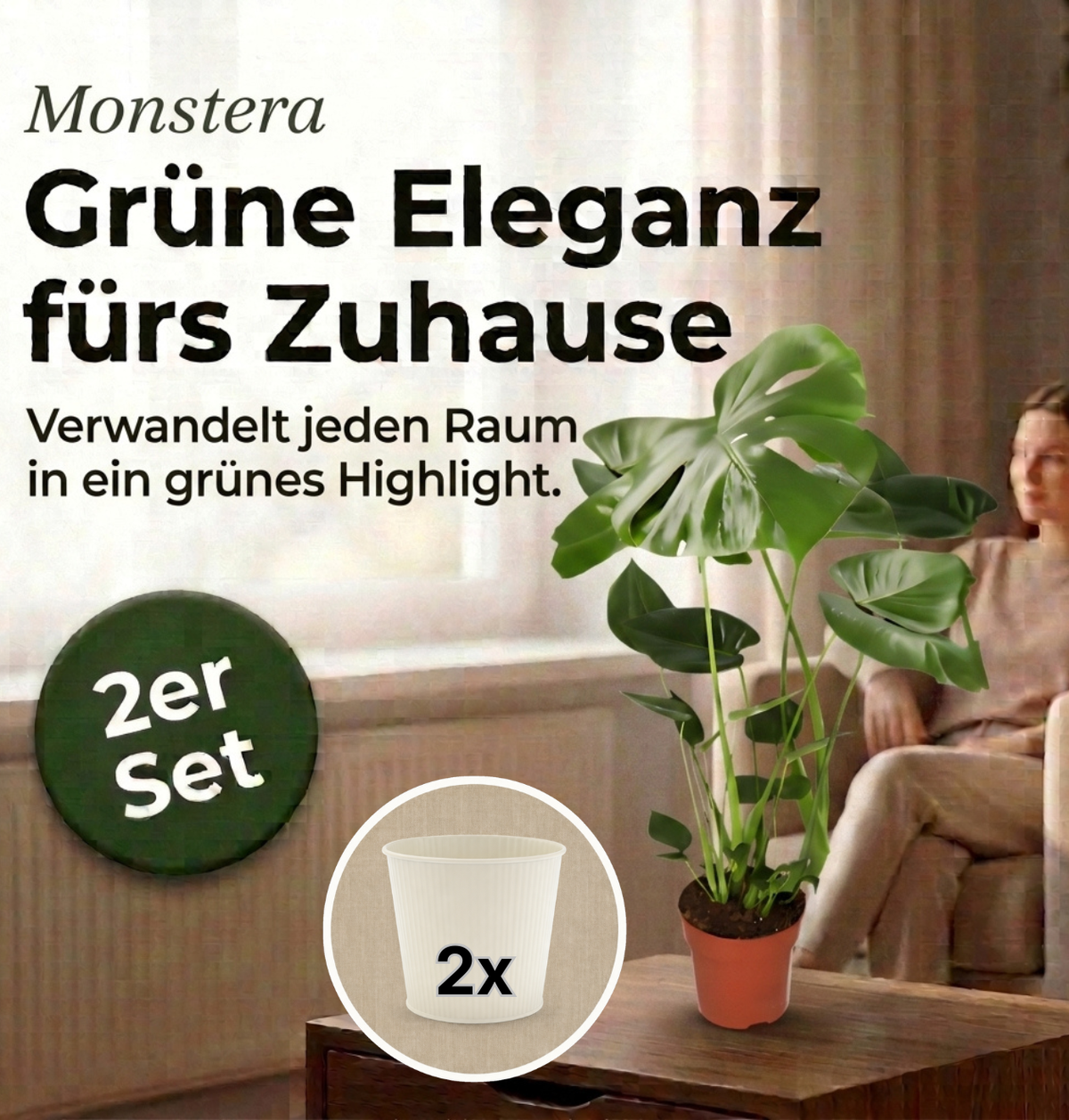 Monstera deliciosa + 2x Cremefarbener Zinktopf | 2er-Set | Fensterblatt | ca. 55-70 cm | Ø 12-15 cm Topf