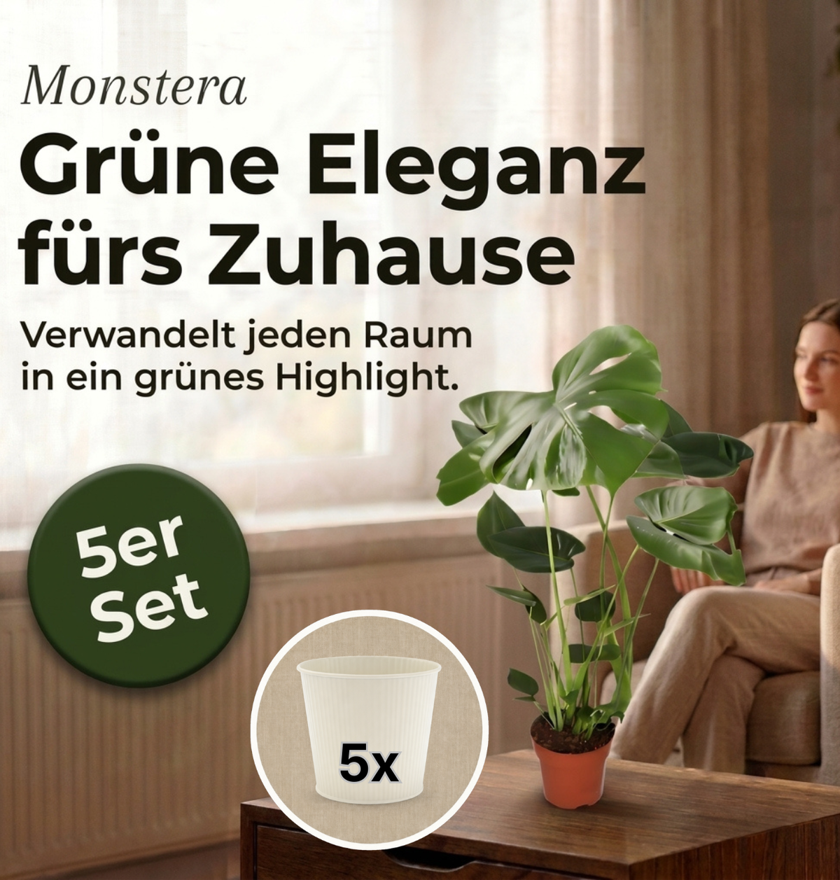 Monstera deliciosa + 5x Cremefarbener Zinktopf | 5er-Set | Fensterblatt | ca. 55-70 cm | Ø 12-15 cm Topf