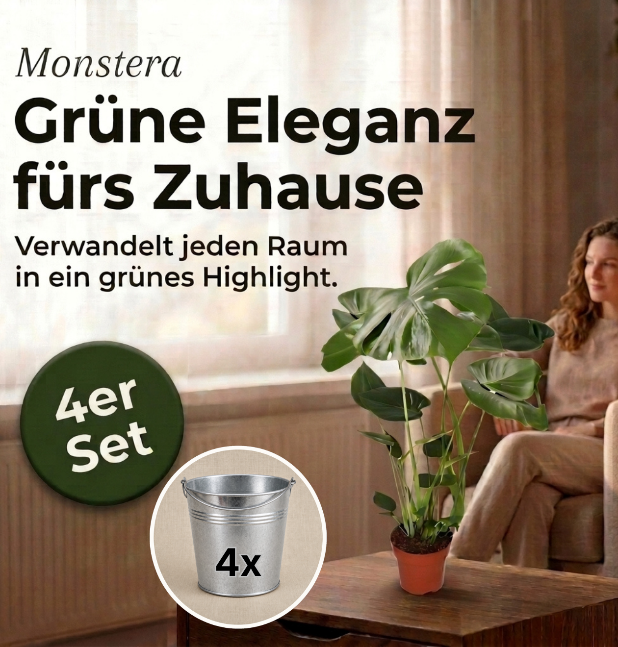 Monstera deliciosa + Zinktopf | 4er-Set | Fensterblatt | ca. 55-70 cm | Ø 12-15 cm Topf